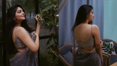 Ahaana Krishna