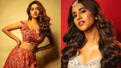 Nabha Natesh