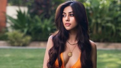 Anu Emmanuel Viral Photos